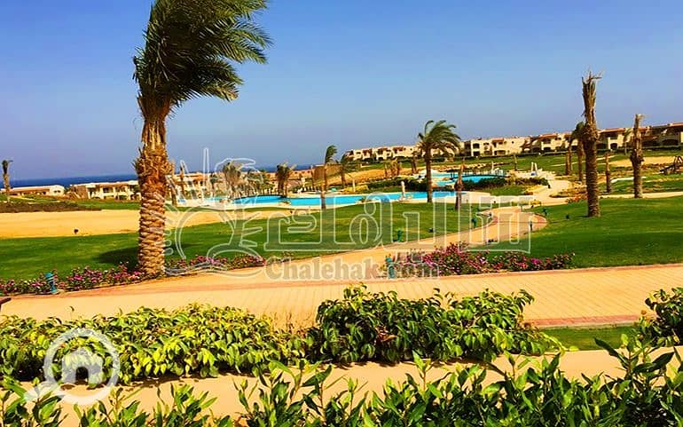 3 WhatsApp Image 2025-03-27 at 3.16. 20 PM (1). jpeg