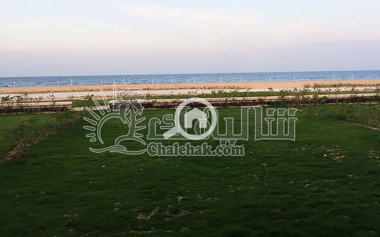 5 WhatsApp Image 2025-03-27 at 3.16. 20 PM (3). jpeg