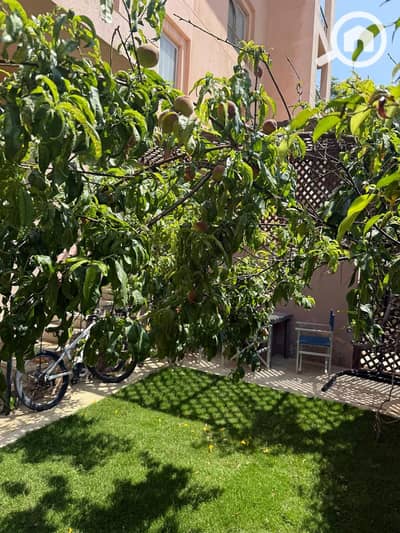 3 Bedroom Apartment for Sale in New Cairo, Cairo - 9bcc2843-45b2-4a13-a539-742df54e0976. jpeg