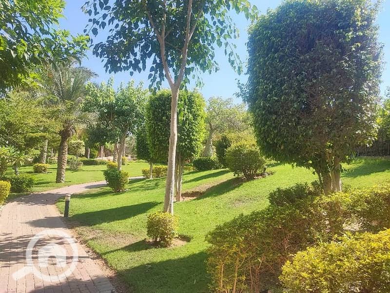 4 556111163_25417654301169295_6957250838723164998_n. jpg