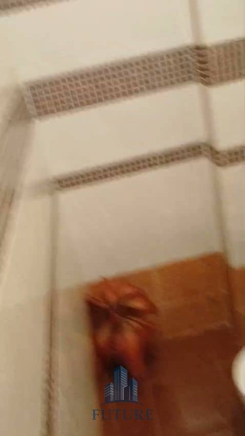 4 WhatsApp Video 2025-10-13 at 21.30. 41_338fe72d. mp4_20251013_214335.671. jpg