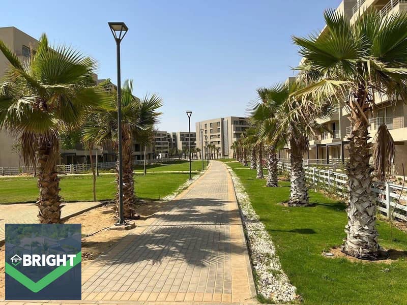 7 73f83254-c524-408c-9951-d6851c967537. jpeg