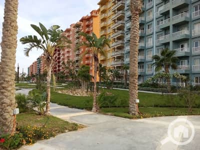 2 Bedroom Chalet for Sale in North Coast, Matruh - 2e343215-b8fa-45ce-af69-9bf78c93bb5d. jpeg