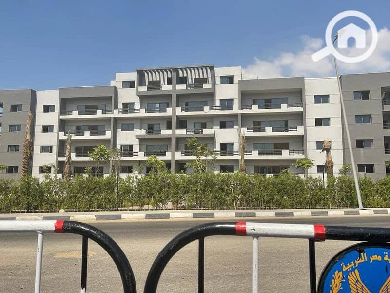 6 photo_5866391698580553267_y. jpg