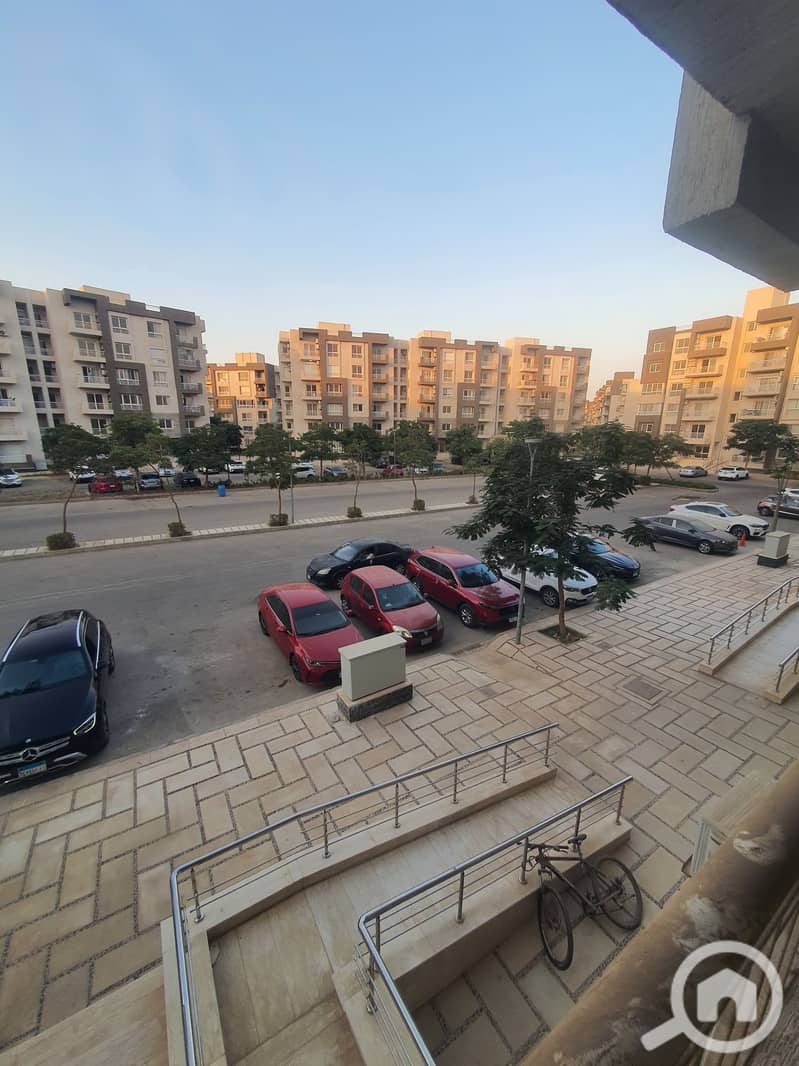 7 ٢٠٢٥١٠١٣_١٨٠٣٠١. jpg