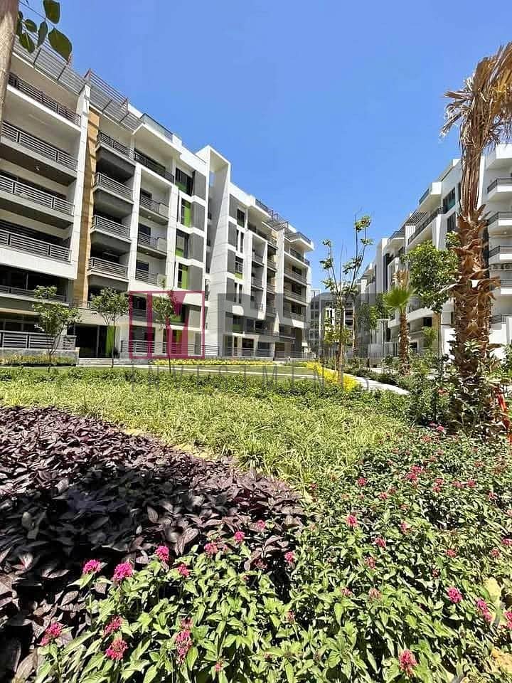 7 495345141_703041472276682_9054322923977097883_n. jpg