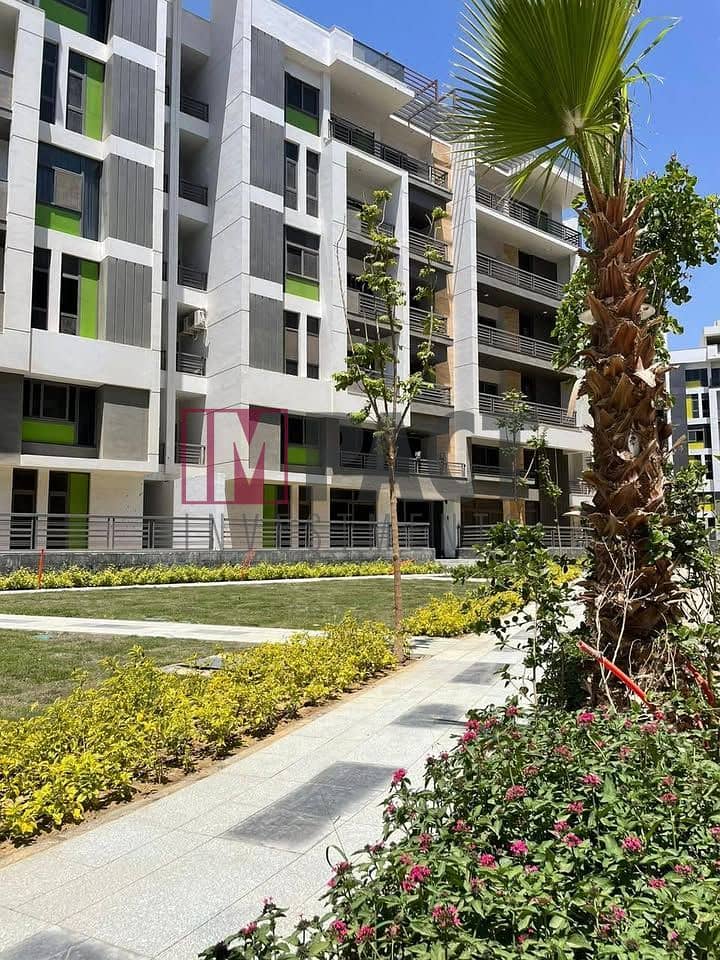 11 525704441_1443456073635942_4757395842197050695_n. jpg