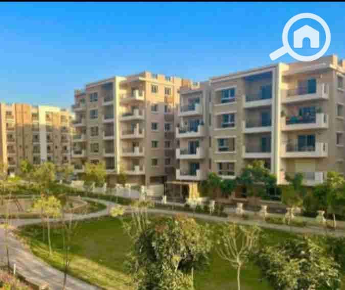 11 IMG_٢٠٢٥١٠١٤_١٢٠١٤٦. jpg