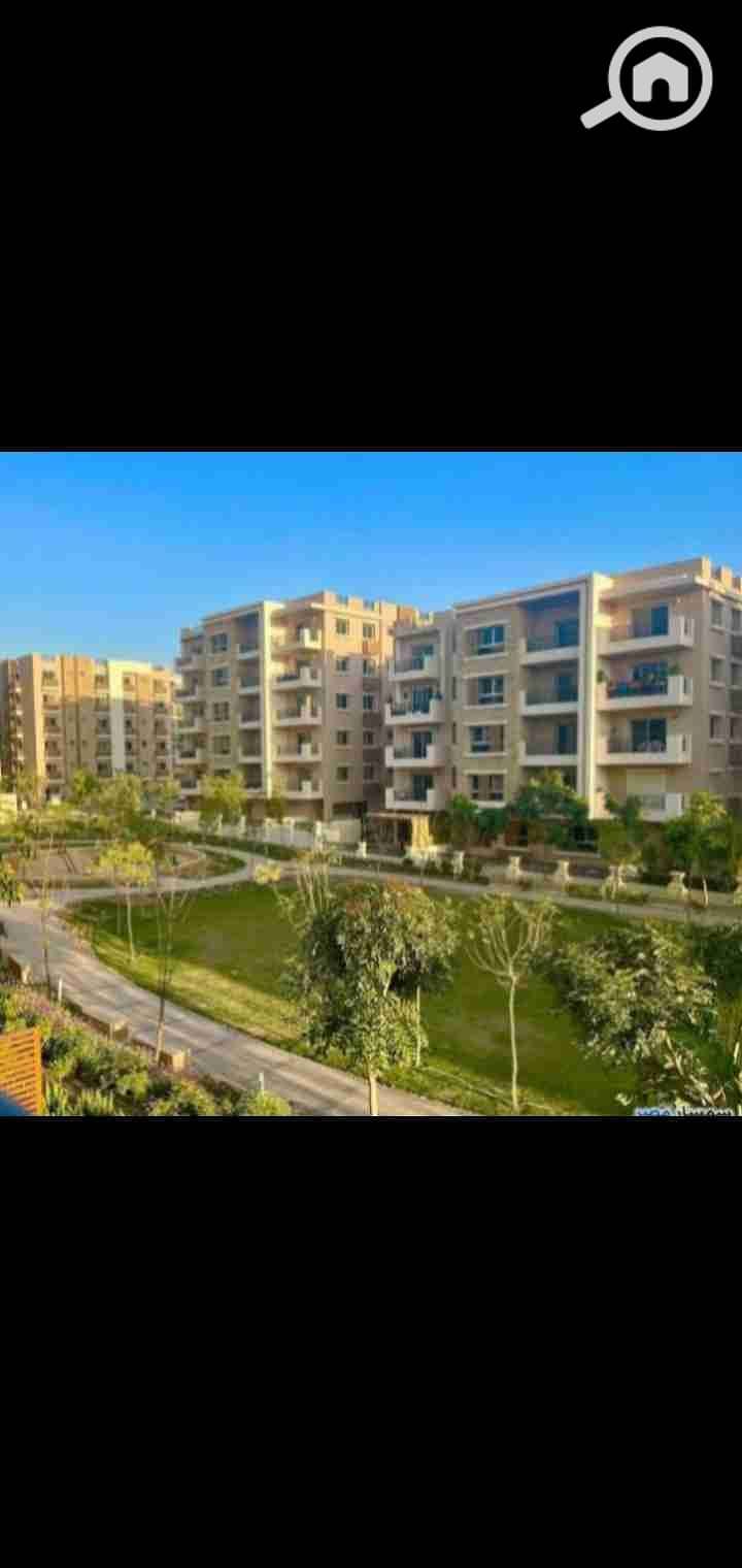 4 Screenshot_2025-10-14-02-36-25-73. jpg