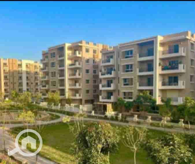 11 IMG_٢٠٢٥١٠١٤_١٢٠١٤٦. jpg