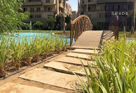 شقة 4 غرف نوم للبيع في القاهرة الجديدة، القاهرة - 5dce6822-3e72-4bdf-9a45-d41d7b830369. jpg