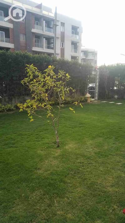 3 Bedroom Flat for Sale in Sheikh Zayed, Giza - IMG-20250530-WA0056. jpg