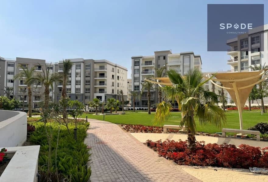 4 8ea4bb9a-7844-4d69-a507-b88a253bf8da. jpg