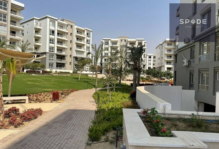 6 85e5e591-64c6-42e4-933f-2c2dd1e3d113. jpg