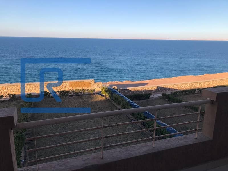 3 060cca87-96b3-49ee-bad4-fe42cf7ef2a8. jpg