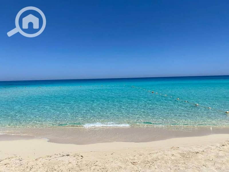 8 506012069_3878261035769675_4951660128615241458_n. jpg