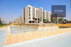 8 images (1) - Copy. jpg