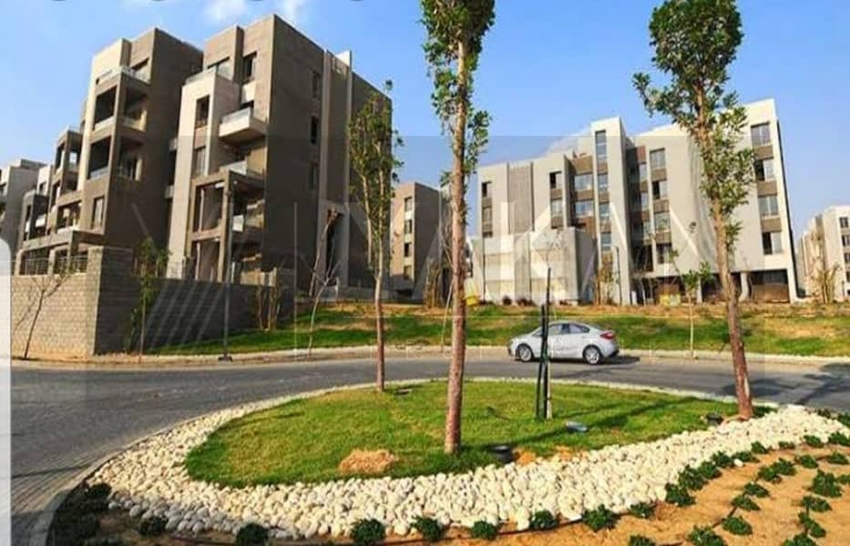 3 WhatsApp Image 2024-08-21 at 4.05. 52 PM (4). jpeg