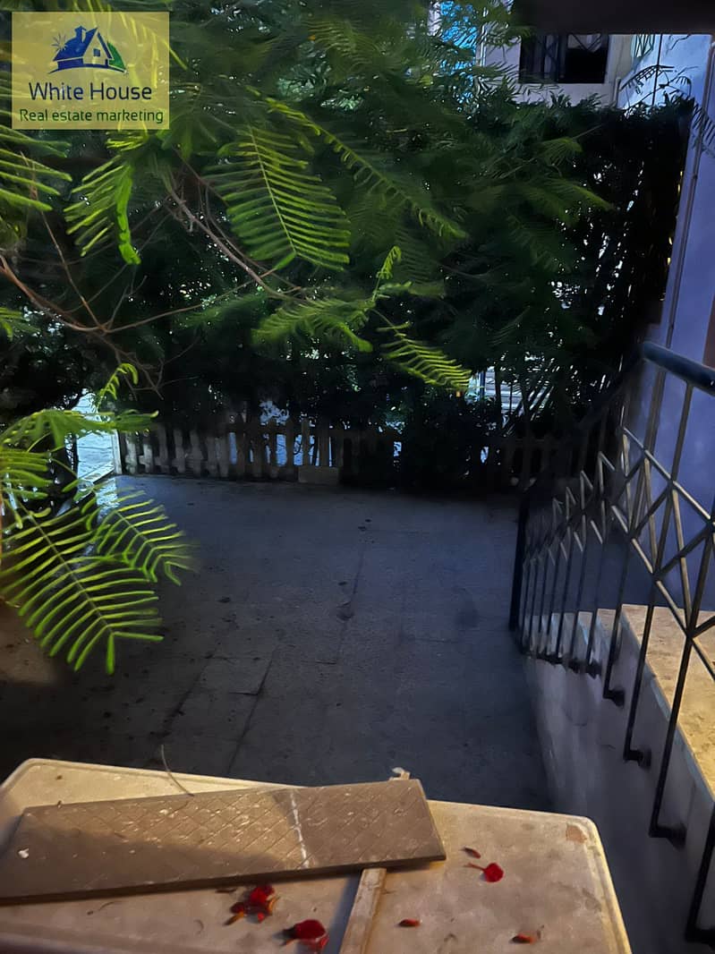 15 901369e6-daeb-425d-9a93-6a43d0bddc36. jpg