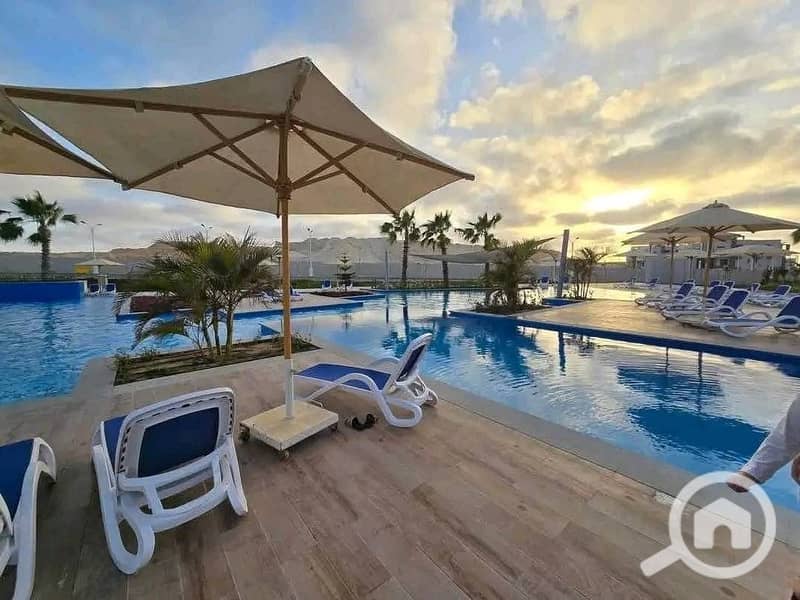 3 WhatsApp Image 2025-09-08 at 12.08. 41_d18a3db1. jpg