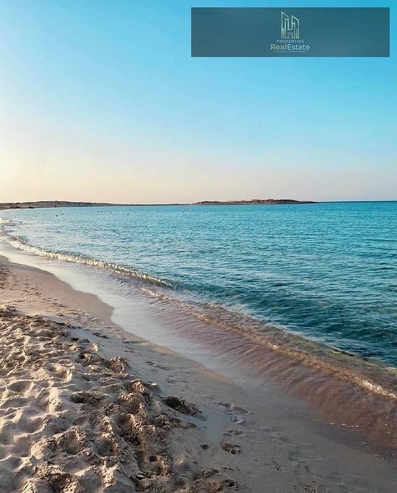 5 WhatsApp Image 2025-10-14 at 1.32. 58 PM (2). jpeg