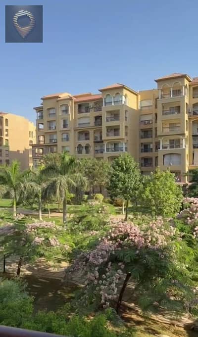 3 Bedroom Flat for Sale in Madinaty, Cairo - WhatsApp Image 2025-08-26 at 13.19. 59_d101c267. jpg
