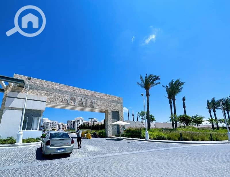 8 WhatsApp Image 2025-09-08 at 14.22. 43_3f246057. jpg