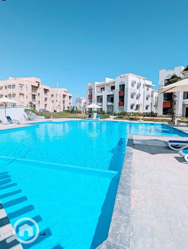 4 WhatsApp Image 2025-09-08 at 12.09. 41_dd9cb656 - Copy. jpg