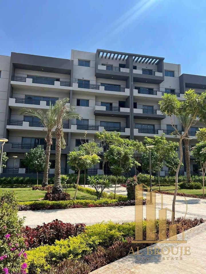 4 542751376_122248374254168632_9062184611015300887_n. jpg