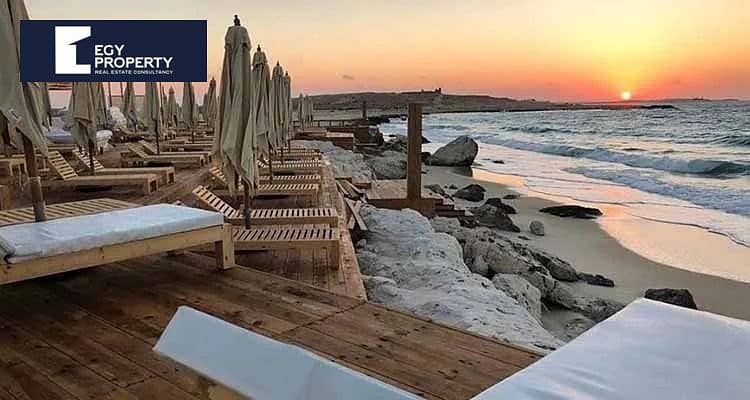 3 seashell (10). jpeg