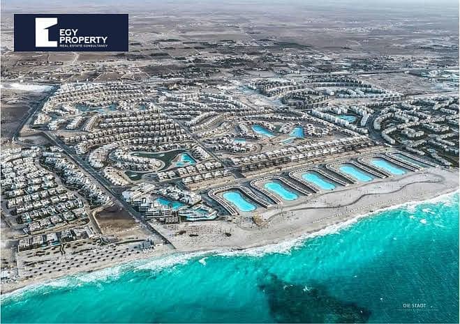 7 seashell (11). jpeg