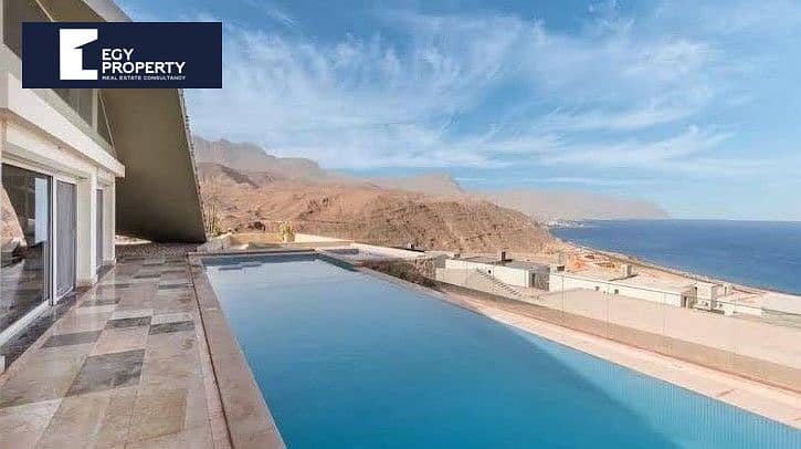 9 seashell (5). jpeg