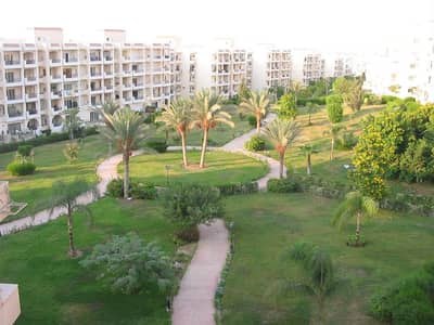 شقة 3 غرف نوم للايجار في الشيخ زايد، الجيزة - WhatsApp Image 2025-10-12 at 6.01. 39 AM (2). jpeg