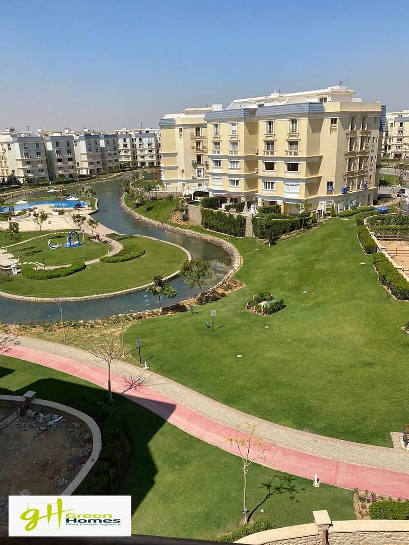 4 WhatsApp Image 2025-02-17 at 17.00. 47_7a3c73ef. jpg