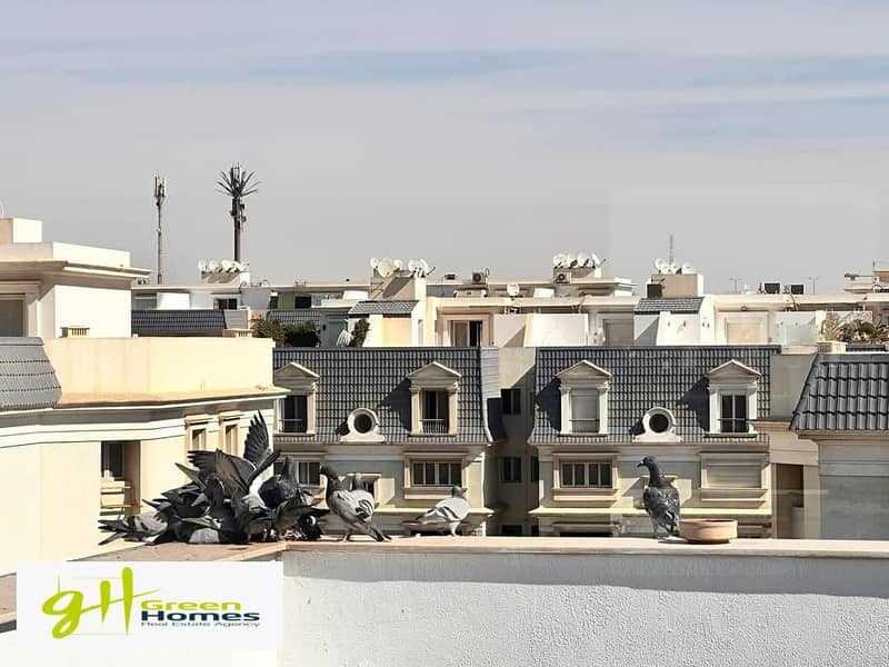 5 WhatsApp Image 2025-02-17 at 17.00. 47_068e26ec. jpg