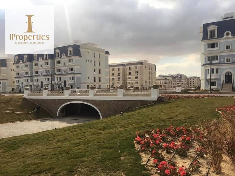 4 48417114_10155980199758133_7141955212184387584_n. jpg