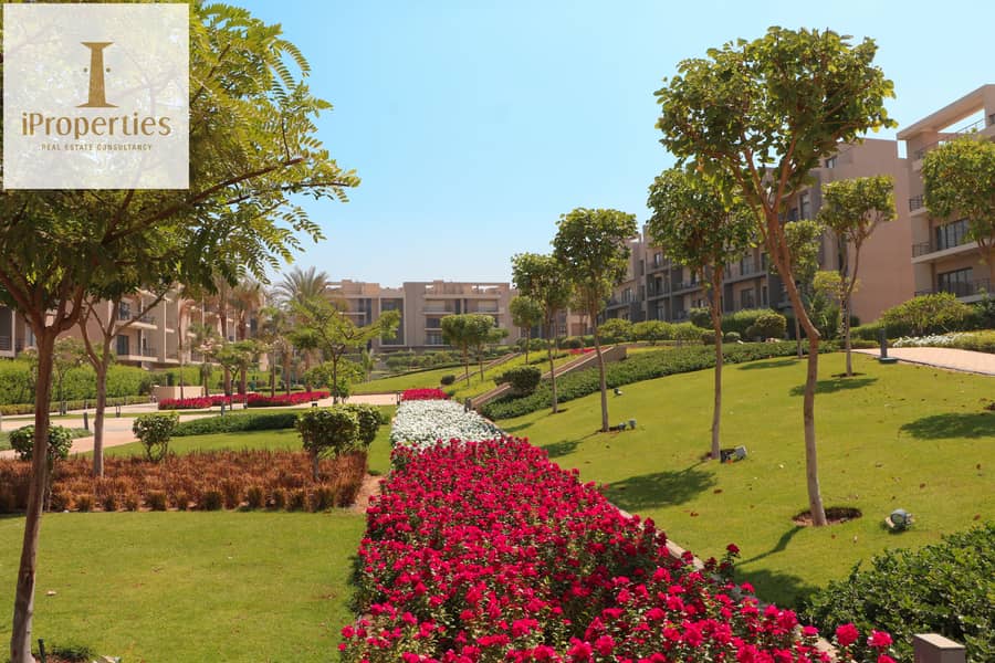 15 IMG_5345 copy. jpg