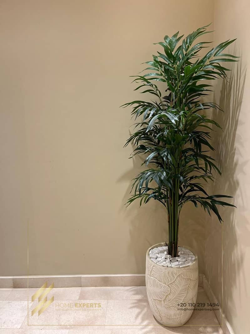 13 b1af0c19-7741-4e73-b866-09737cec568c. jpg