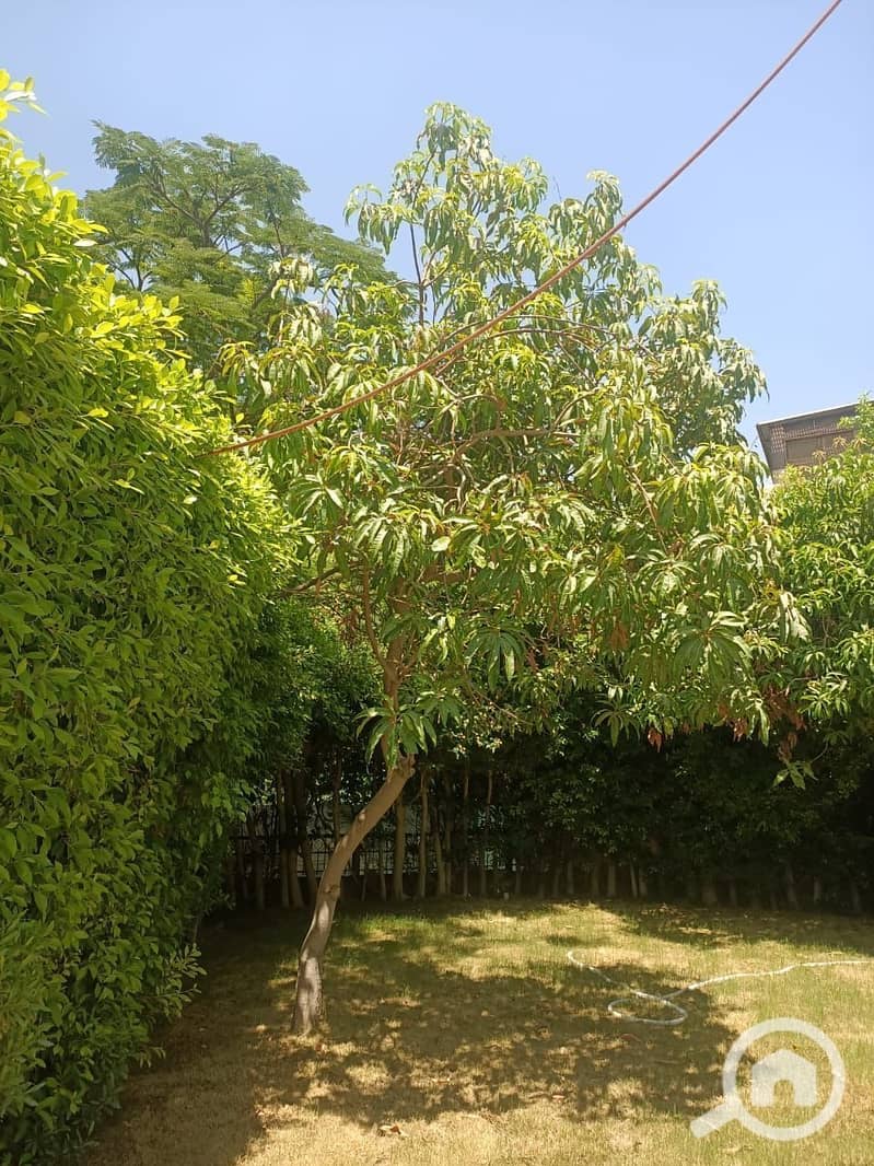 7 afbc9a11-4572-4c8c-b990-cef2db5e6656. jpeg