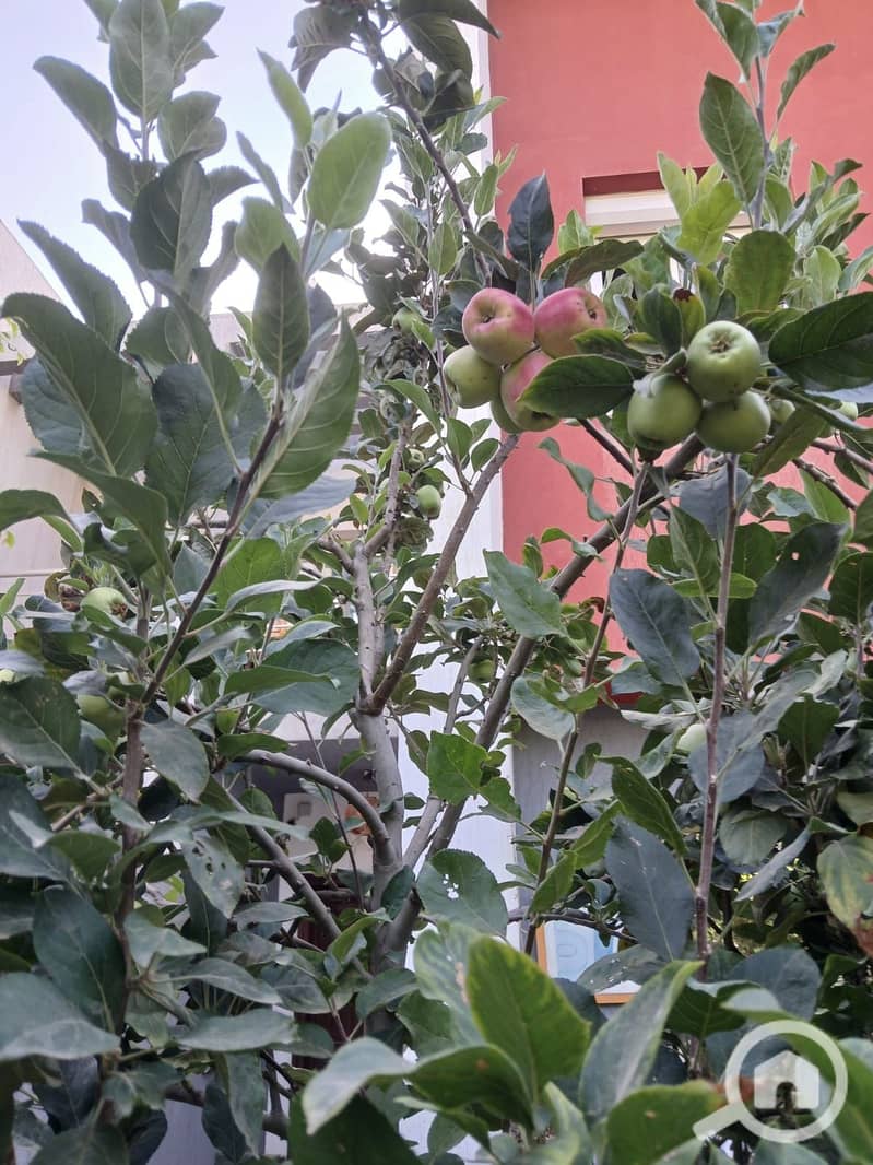 10 26ade540-7b35-404c-b243-d17ef2e4ce20. jpeg