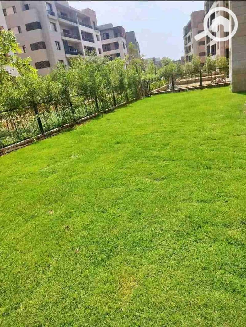 10 1000491613. jpg