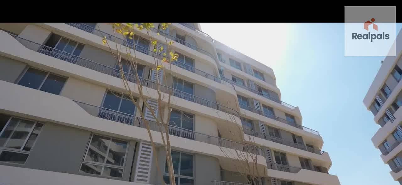 6 5555. jpg