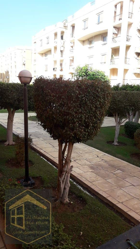 7 WhatsApp Image 2025-10-14 at 19.10. 57_daddc1d2. jpg