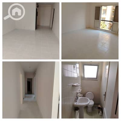 فلیٹ 3 غرف نوم للايجار في القاهرة الجديدة، القاهرة - 0c80aee7-0665-4a63-a1bd-5c6afac7e3b2. jpeg