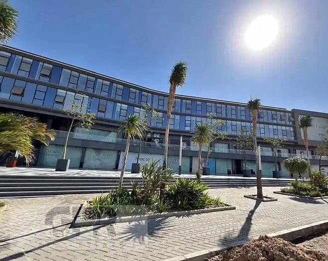 7 556991219_122145154214873484_2801059347688465764_n. jpg