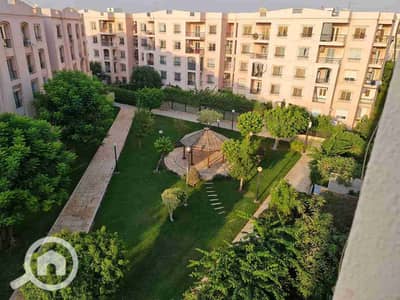 3 Bedroom Flat for Rent in New Cairo, Cairo - 1000443481. jpg