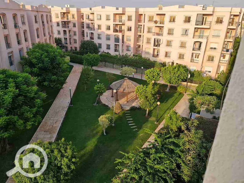 1000443481. jpg 1000443481. jpg