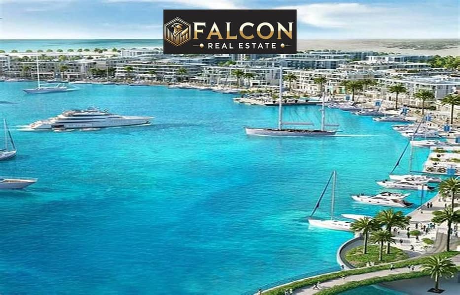 529293648_769027702957342_7368779499245140442_n. jpg 529293648_769027702957342_7368779499245140442_n. jpg