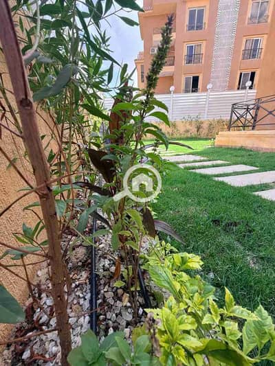 فلیٹ 3 غرف نوم للبيع في الشيخ زايد، الجيزة - 1000038360. jpg