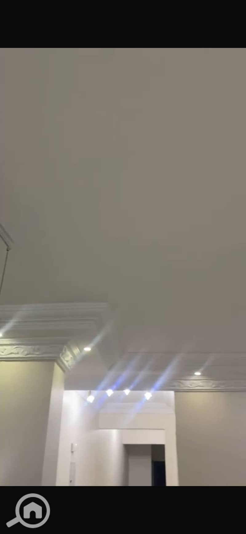 5 IMG_6556. png